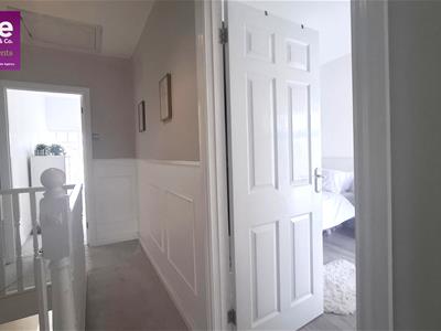 Picture 29